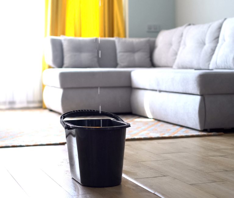 Why Roof Leaks Happen And How You Can Prevent Them